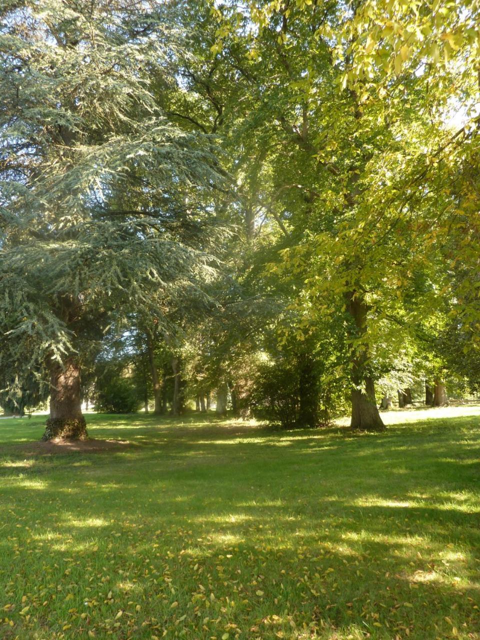 Domaine De Chaligny Hostel Saint-Hilaire-en-Morvan Εξωτερικό φωτογραφία